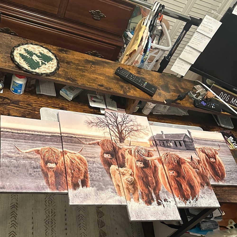 Rustic Highland Cattle Wall Art